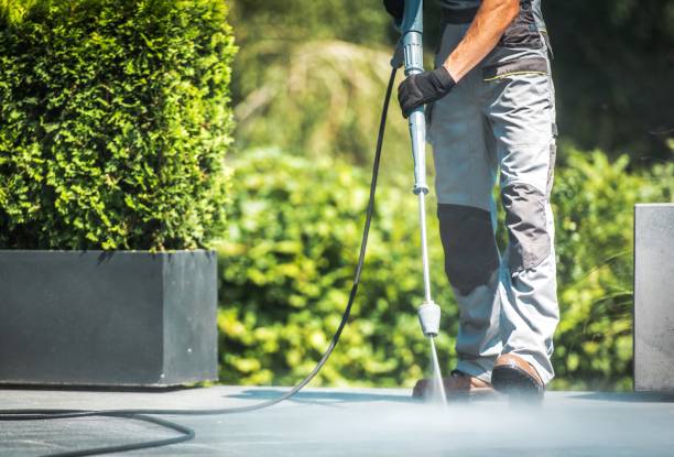 Best Warehouse Cleaning  in Bertsch Oceanview, CA