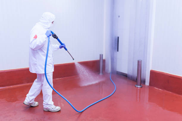 Best Rust Removal  in Bertsch Oceanview, CA
