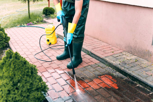 Best Solar Panel Cleaning  in Bertsch Oceanview, CA