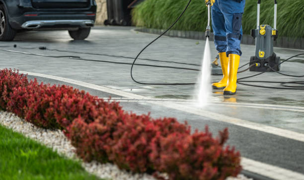 Best Oil Spill Cleanup  in Bertsch Oceanview, CA